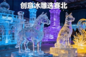 南京冰雕公司哪家好？賽北冰雕五大核心優勢詳解
